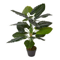 KUNSTPFLANZE Taro, 90 cm - Grün, Kunststoff (90cm) - Homescapes