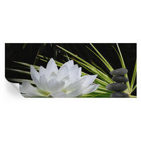FOTOTAPETE 250x104 cm - Lilienmeditation - Weiß, Textil (250/104cm) - Wallfluent