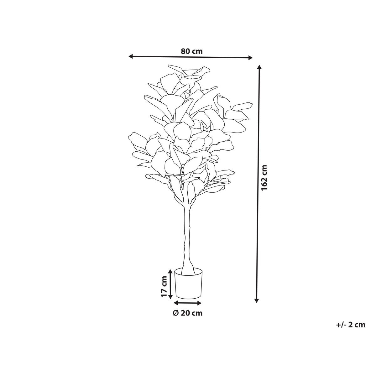 KUNSTPFLANZE im Blumentopf 162 cm Grün/Schwarz Fig Tree - Schwarz/Grün, Kunststoff (162cm) - Beliani