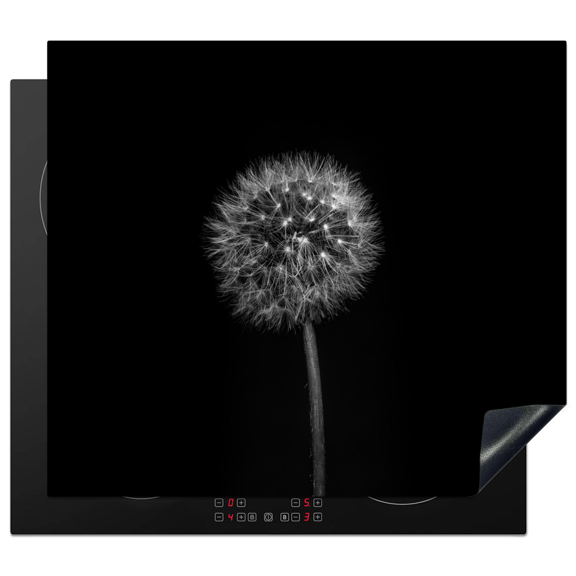 HERDABDECKPLATTE Löwenzahn - Schwarz - Floral - Botanisch 58x51 cm - Grau, Kunststoff (58.3/0.2/51.3cm) - MuchoWow