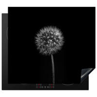HERDABDECKPLATTE Löwenzahn - Schwarz - Floral - Botanisch 58x51 cm - Grau, Kunststoff (58.3/0.2/51.3cm) - MuchoWow