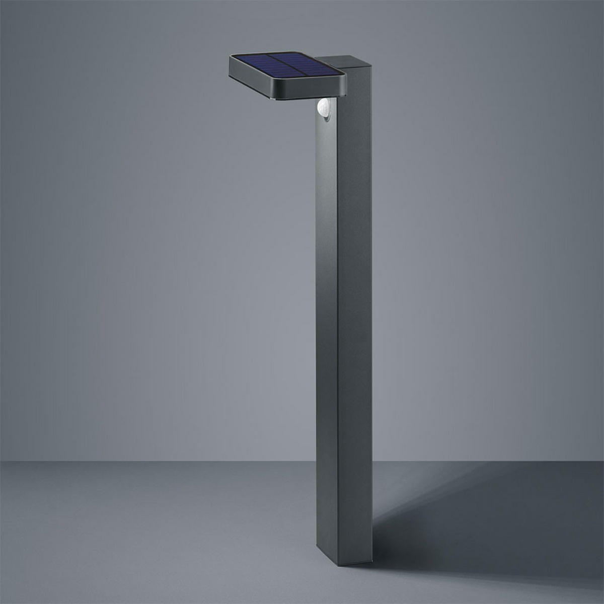 LED AUSSENLEUCHTE ESQUEL Anthrazit Edelstahl - Anthrazit, Metall (14/18/60cm)