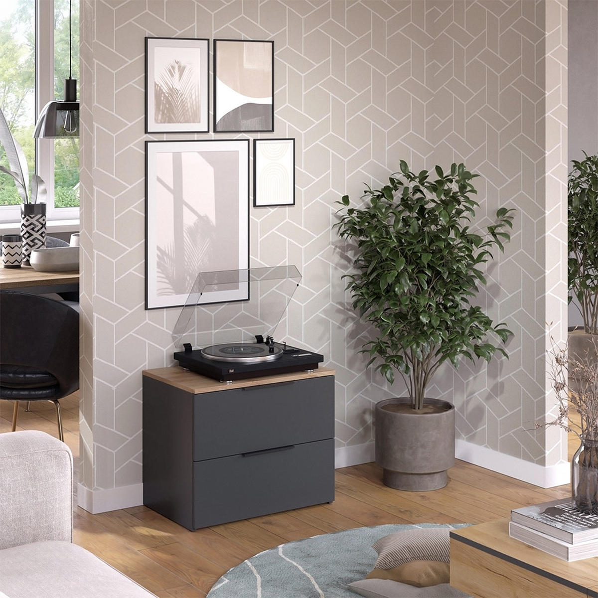 KOMMODE Wido Anthrazit 60 x 50 cm mit 2 Schubladen - Anthrazit/Sonoma Eiche, Holzwerkstoff (60/50/40cm) - Vicco