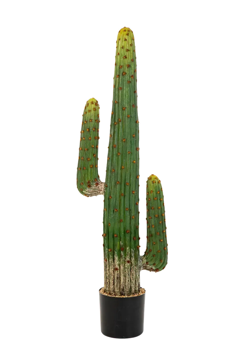 KUNSTPFLANZE Künstlicher Kaktus - Hagen 125 cm - Grün, Kunststoff (125cm) - aplanta