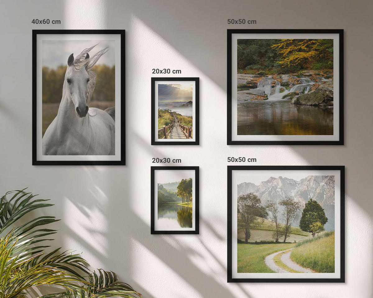 BILDER SET 5er Set - 50x50 cm & 20x30 cm & 40x60 cm Schwarzer Rahmen - Natur des Flusses White Horses - Schwarz, Kunststoff (40/60cm) - TULUP