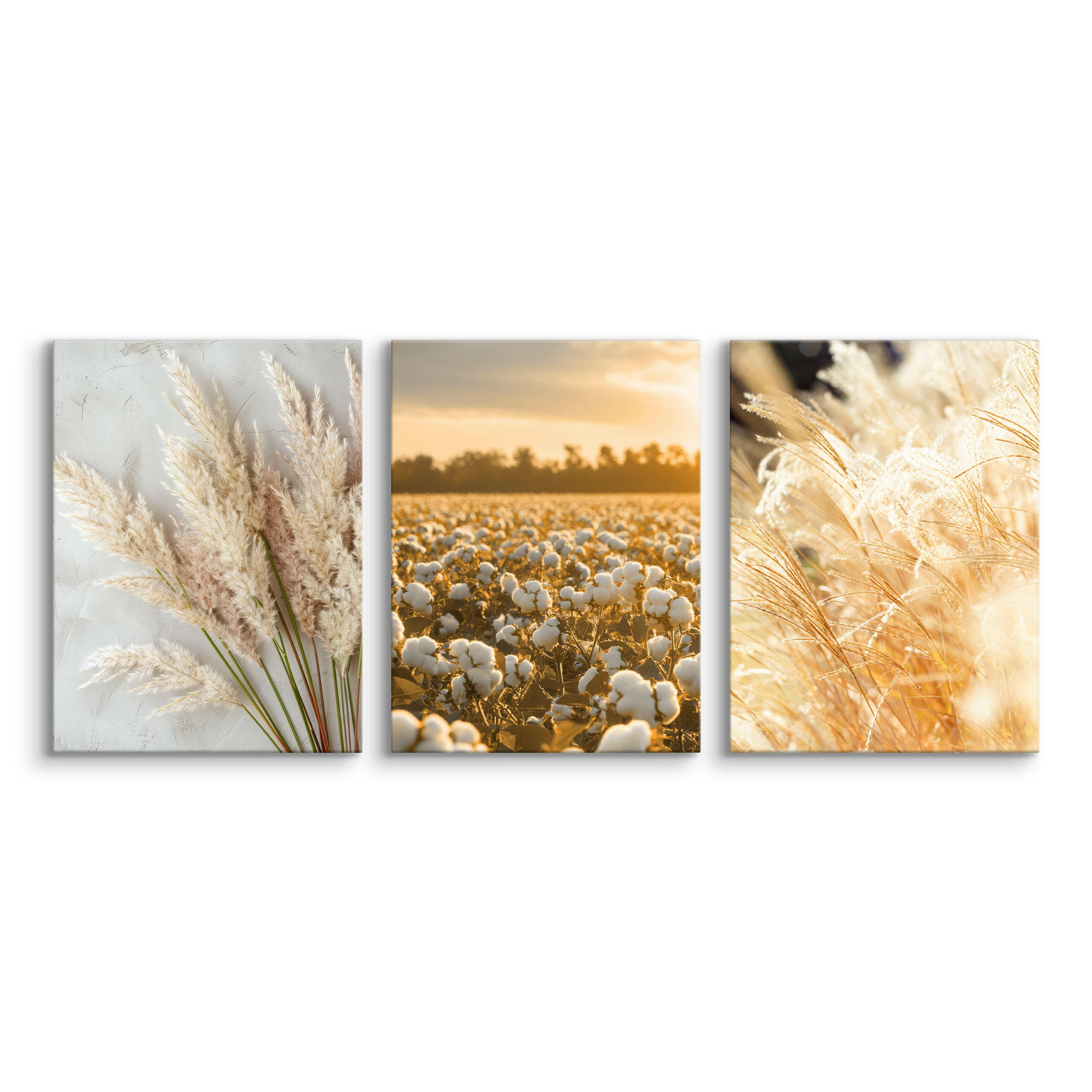 LEINWANDBILDER 3-es Set Pflanzen 3D Boho - Beige/Weiß, Textil (90/40cm) - Muralo