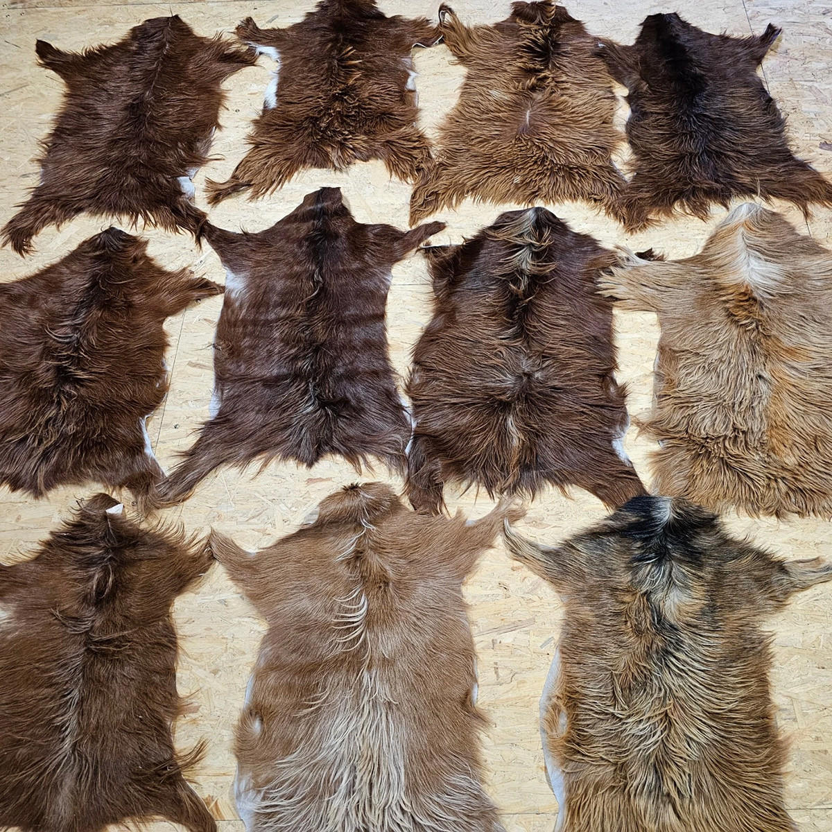 FELL Ziegenfell Braunlich Naturfarben Teppich ca. 90 cm 1.Wahl - Braun, Fell (50/90cm) - Provellus