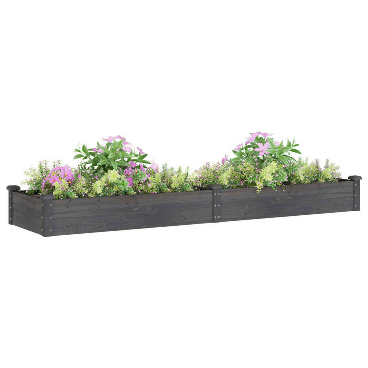 HOCHBEET mit Einsatz Grau 240x60x25 cm Massivholz Tanne - Grau, Holz (60/25/240cm) - furnicato