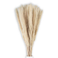 PAMPASGRAS Trockenblumen 30 Stück - Weiß, Naturmaterialien (5cm) - Intirilife