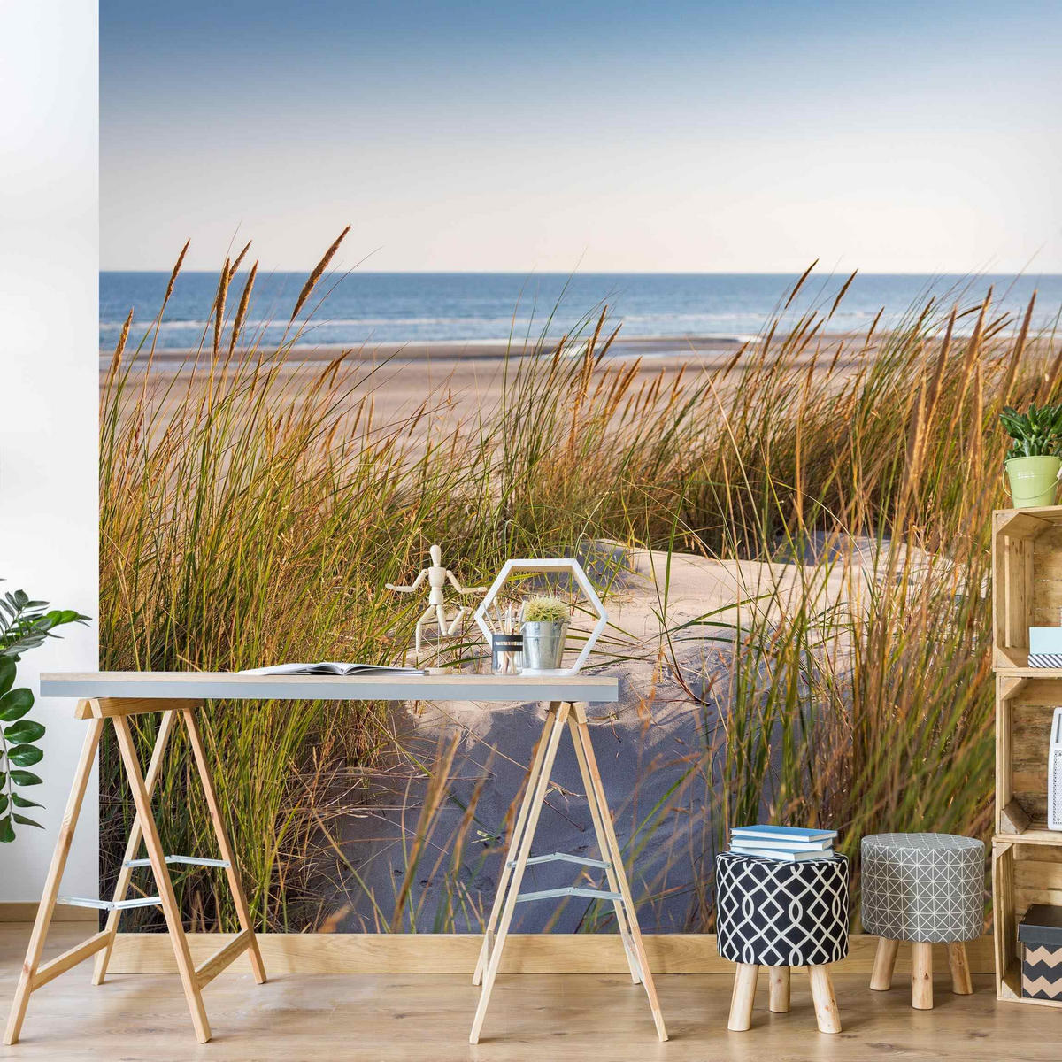 FOTOTAPETE Stranddüne am Meer 288/288 cm - Eichefarben, Papier (288/288cm) - Bilderwelten