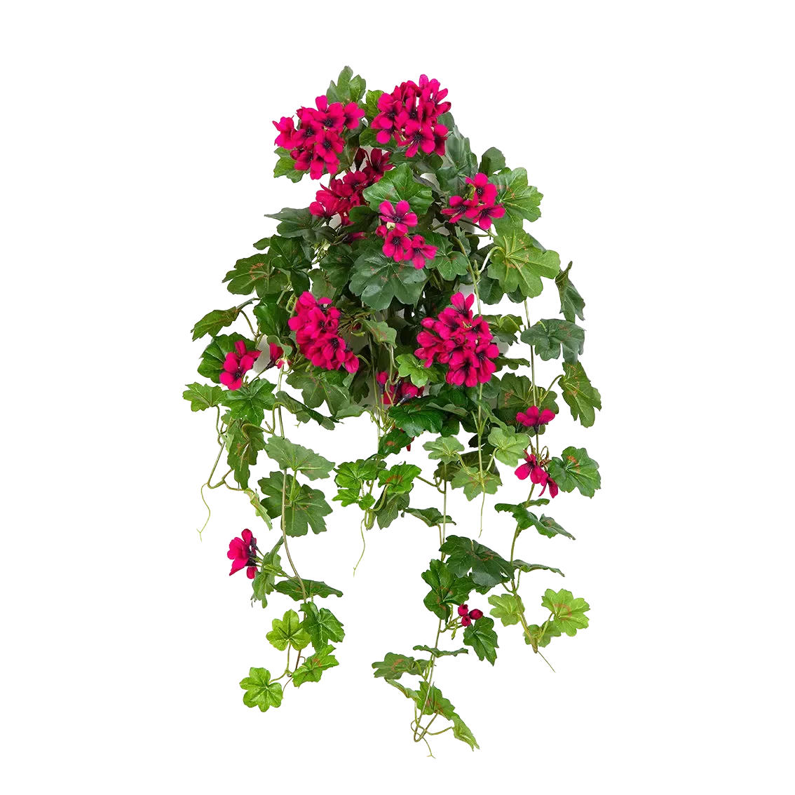 KUNSTPFLANZE Künstliche Hänge-Geranie - Arne 72 cm - Grün, Kunststoff (72cm) - aplanta