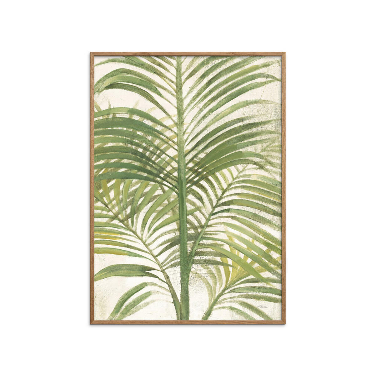 POSTER mit Rahmen Wild Apple - Palms II Bright - Eichefarben/Grün, Holz/Papier (30/40cm) - Poster&Frame