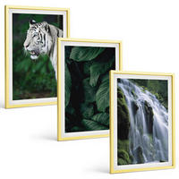 BILDER SET 3er Set - 40x60 cm Goldrahmen - Wasserfall aus weißen Tigerblättern - Goldfarben, Kunststoff (40/60cm) - TULUP