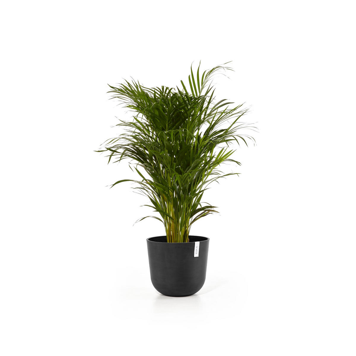 BLUMENTOPF Oslo 35/30,5 cm Dunkelgrau - Dunkelgrau, Kunststoff (35/30.5cm) - Ecopots