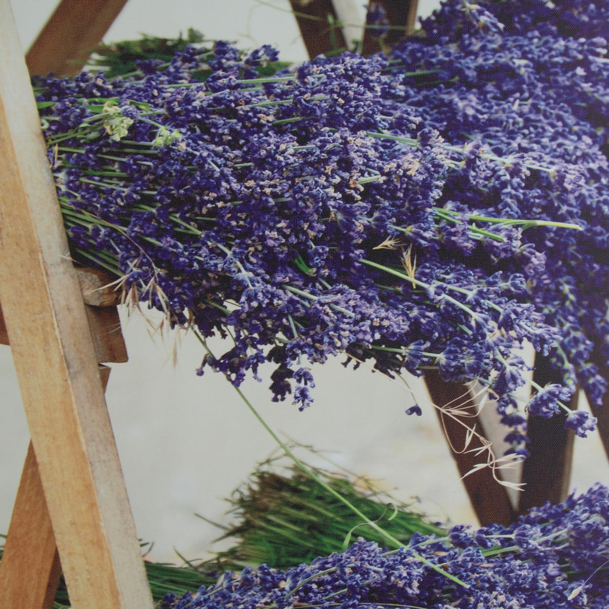 LEINWANDBILD Getrockneter Lavendel 70x50cm - Lila, Textil (70/1cm) - Art for the Home