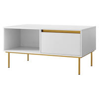 COUCHTISCH Carmesi - Goldfarben/Weiß, Holzwerkstoff/Metall (60/100/50cm) - MIRJAN24