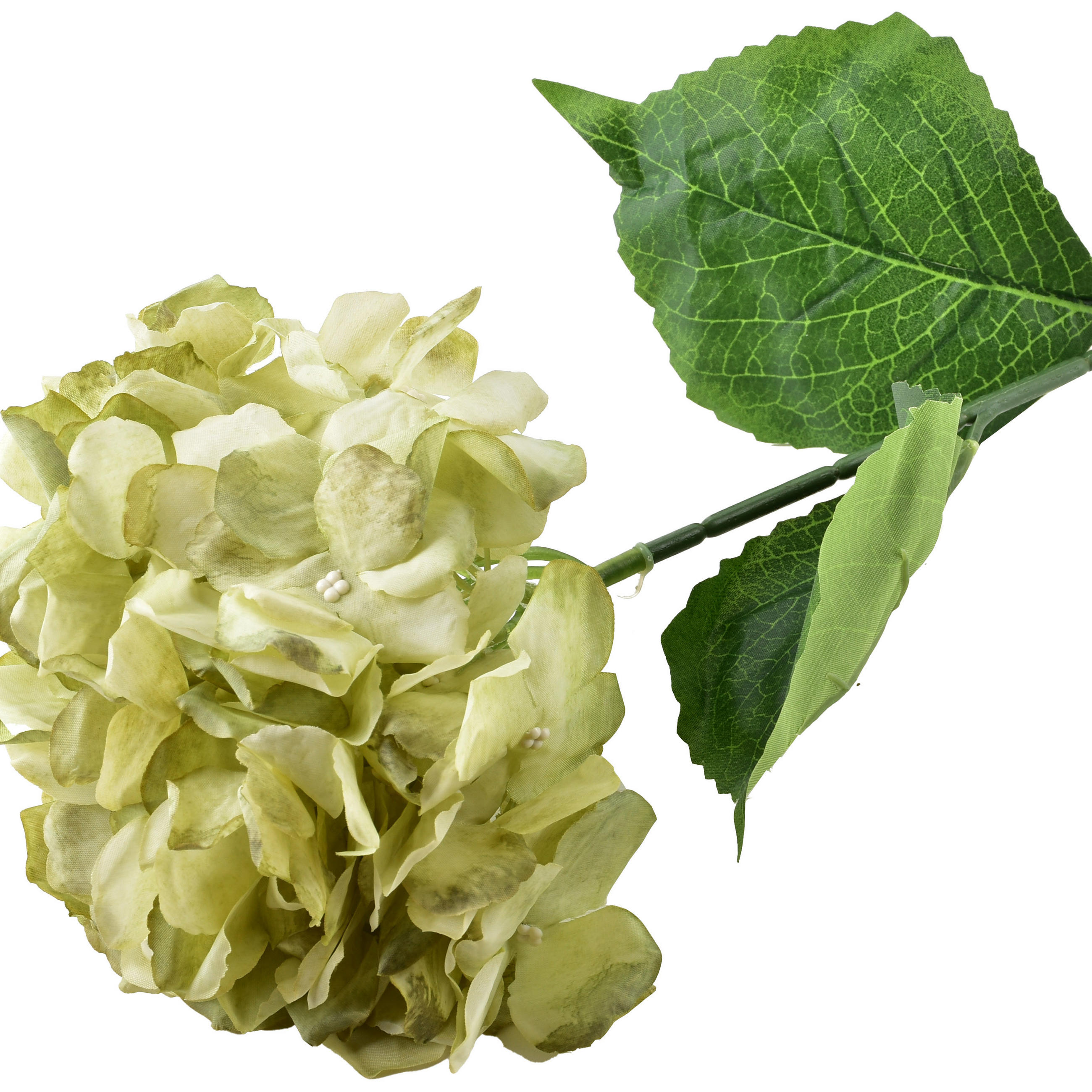 KUNSTBLUME Virdis Hortensia Grün 73/73/73 cm Kunstoff - Grün, Kunststoff (73cm) - Mondex