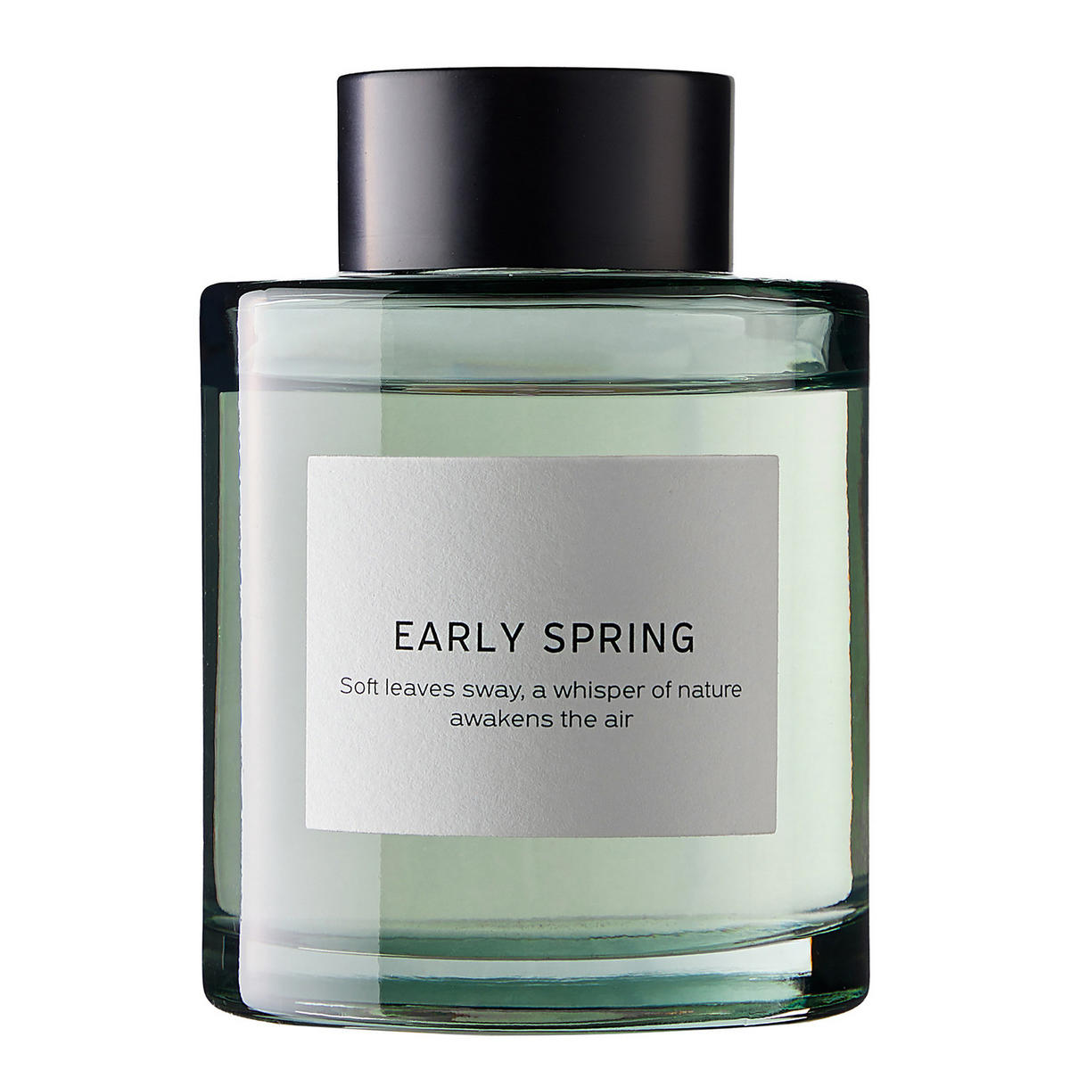 RAUMDUFT Pure Poetry Early Spring 150ml - Salbeigrün, Glas (6/20/6cm) - Butlers