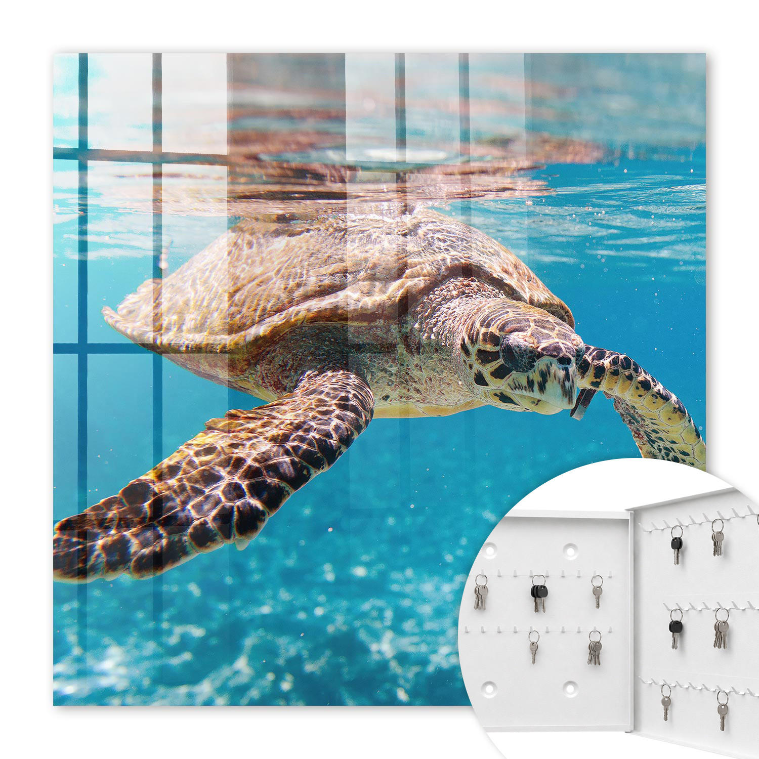SCHLÜSSELBOX Weiß 30x30 cm – Türöffnung nach rechts - Unterwasserwelt - Blau, Metall (30/30/5cm) - TULUP