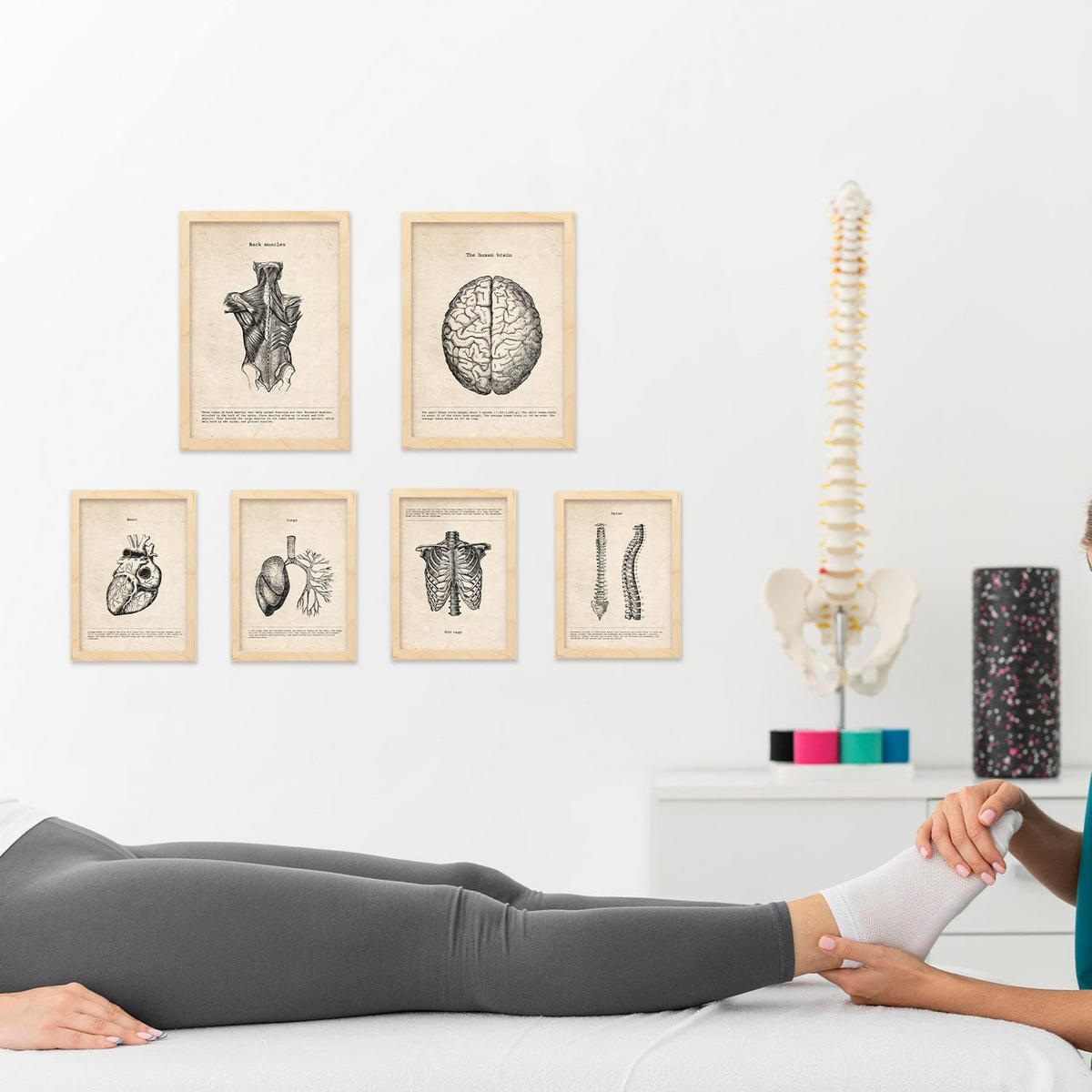 POSTER Set Mit 6 Anatomie Gehirn, Muskeln, Knochen Größe A3 & A4 Rahmen aus hellem Holz - Beige, Papier (29.7/1cm) - Nacnic