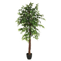 FICUS im Topf 97/86/185 cm - Grün, Kunststoff (185cm) - Atmosphera Createur d´interieur