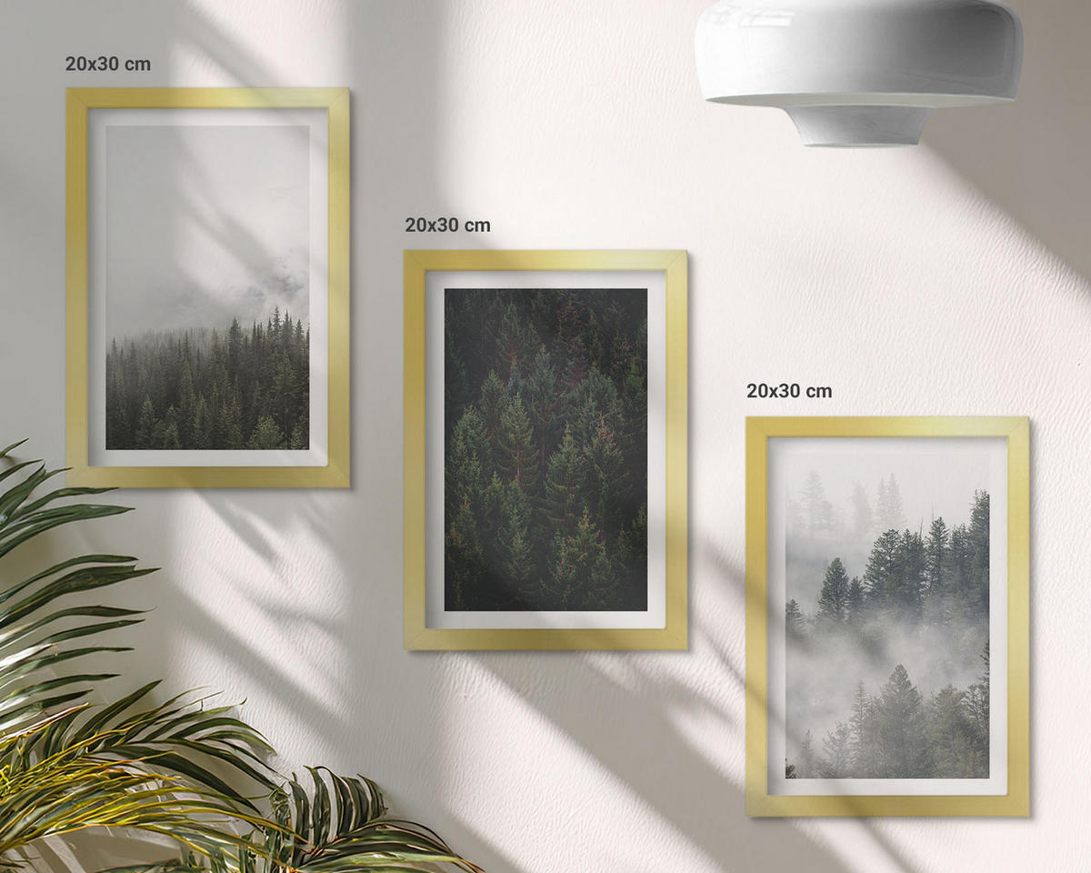 BILDER SET 3er Set - 20x30 cm Goldrahmen - Grüne Wälder Nebel Natur - Goldfarben, Kunststoff (20/30cm) - TULUP