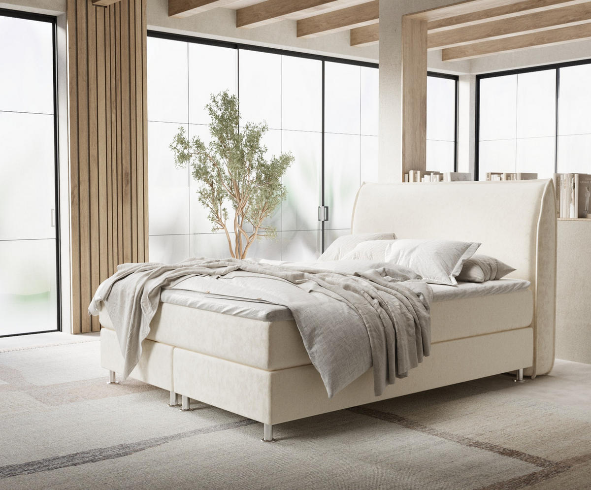 BOXSPRINGBETT Chermin Creme 160/200 cm mit Latex-Topper - Silberfarben/Creme, Holz/Holzwerkstoff (160/200cm) - Maison de Reve
