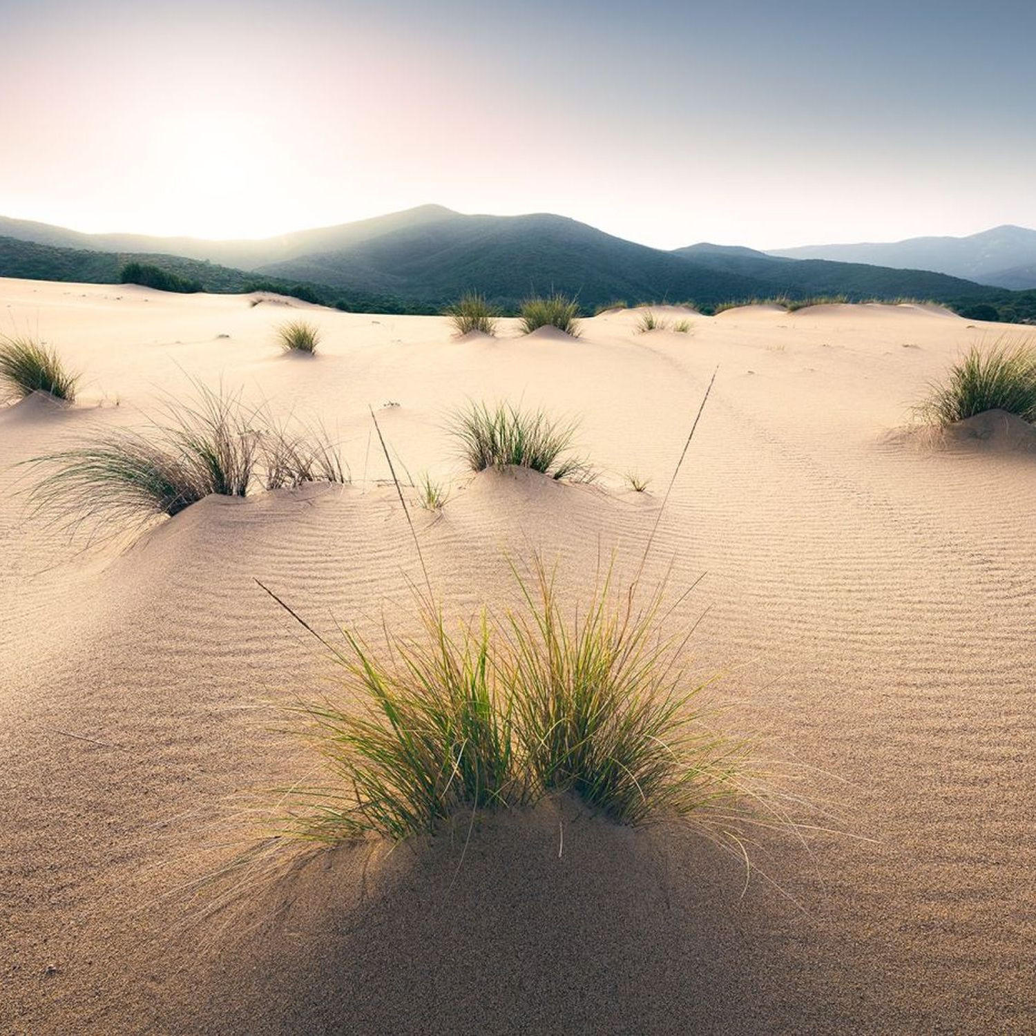 FOTOTAPETE Strand 450 x 280 cm - Beige, Papier (450/280cm) - Sanders & Sanders