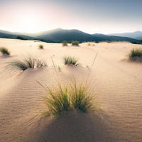 FOTOTAPETE Strand 450 x 280 cm - Beige, Papier (450/280cm) - Sanders & Sanders