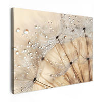 LEINWANDBILD Löwenzahn - Abstrakt - Natur - Beige 80x60 cm - Braun, Textil (80/60cm) - MuchoWow