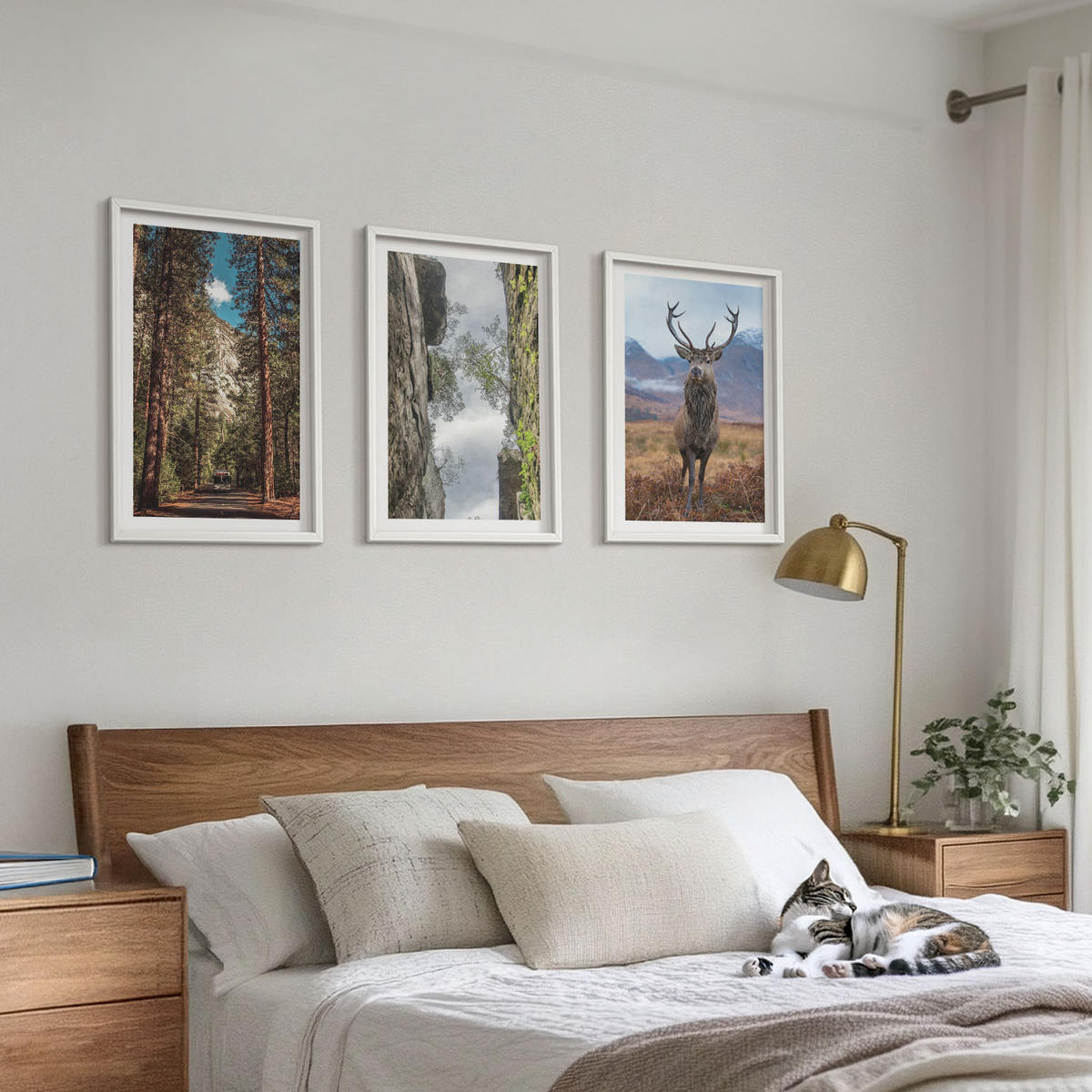 WANDBILDER 3er-Set - 40x60 cm Weißer Rahmen - Straße Wald Berge Hirsch Natur - Weiß, Kunststoff (40/60cm) - ArtPrintCave