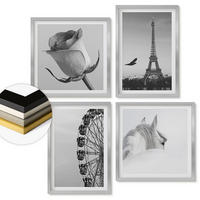 WANDBILDER 4er Set - 50x50 cm & 40x60 cm Silberner Rahmen - Rose Eiffelturm Pferd Riesenrad S/W - Silberfarben, Kunststoff (50/50cm) - ArtPrintCave