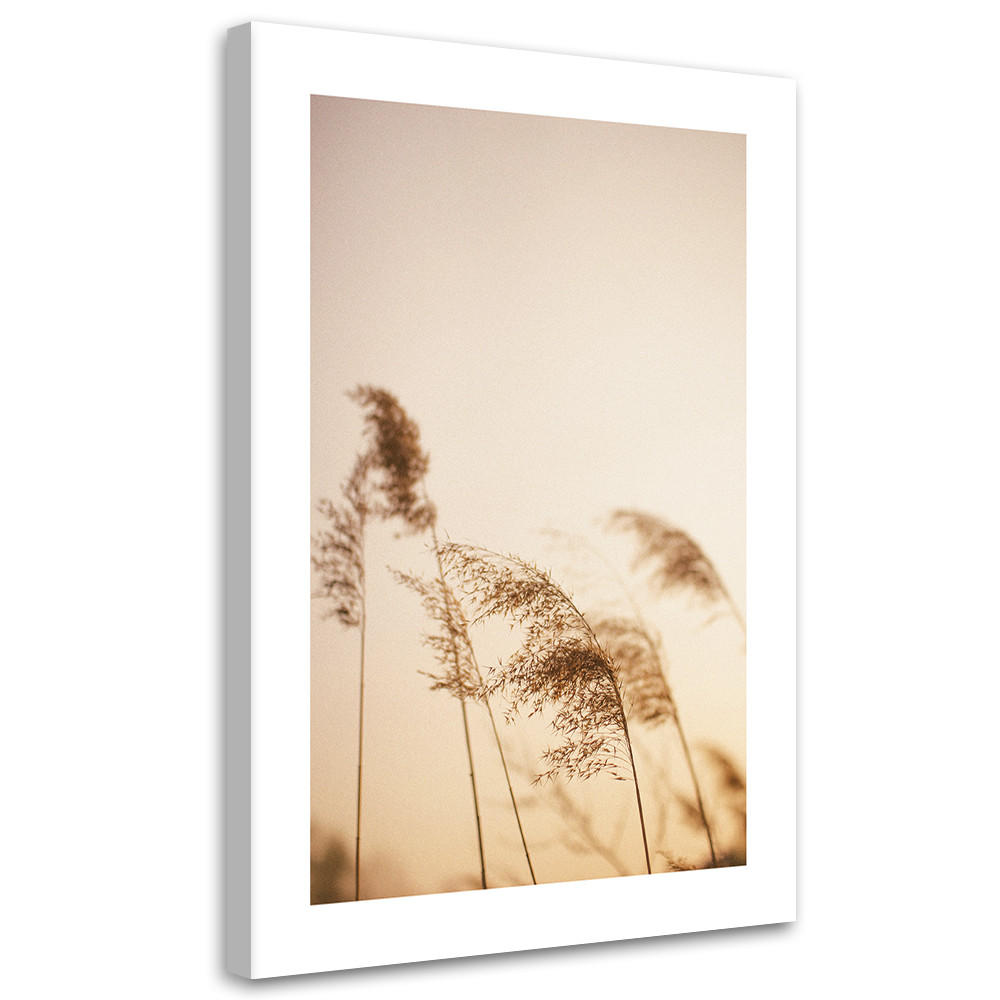 WANDBILD beigefarbenes schilf - Beige, Textil (40/60cm) - Feeby