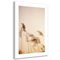 WANDBILD beigefarbenes schilf - Beige, Textil (40/60cm) - Feeby