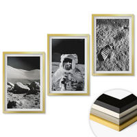 WANDBILDER 3er Set - 40x60 cm Goldrahmen - NASA-Fotos vom Mond Astronaut - Goldfarben, Kunststoff (40/60cm) - ArtPrintCave