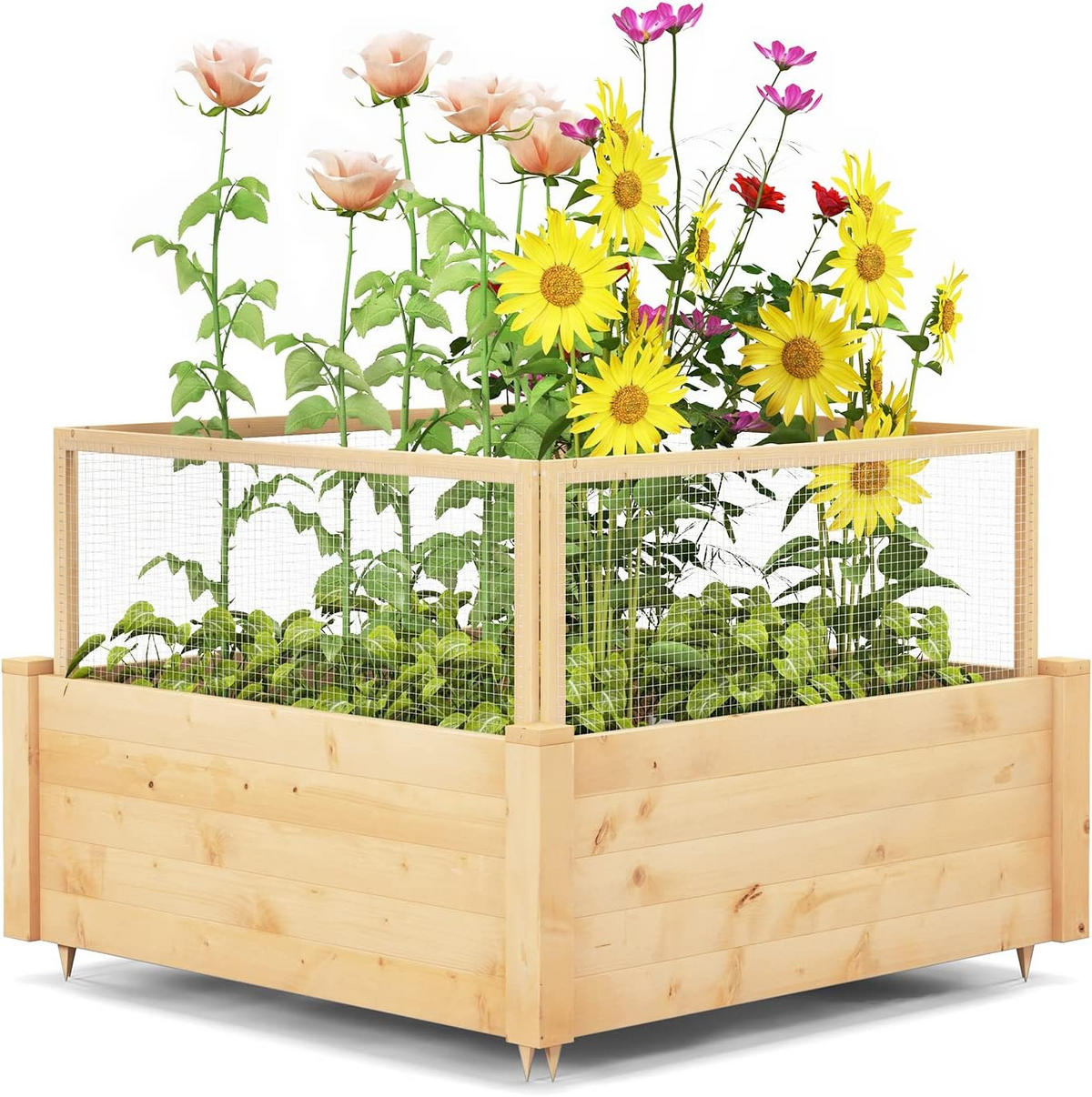 HOCHBEET mit Zaun Holz - Apfelbaumfarben, Holz (107/70/107cm) - COSTWAY