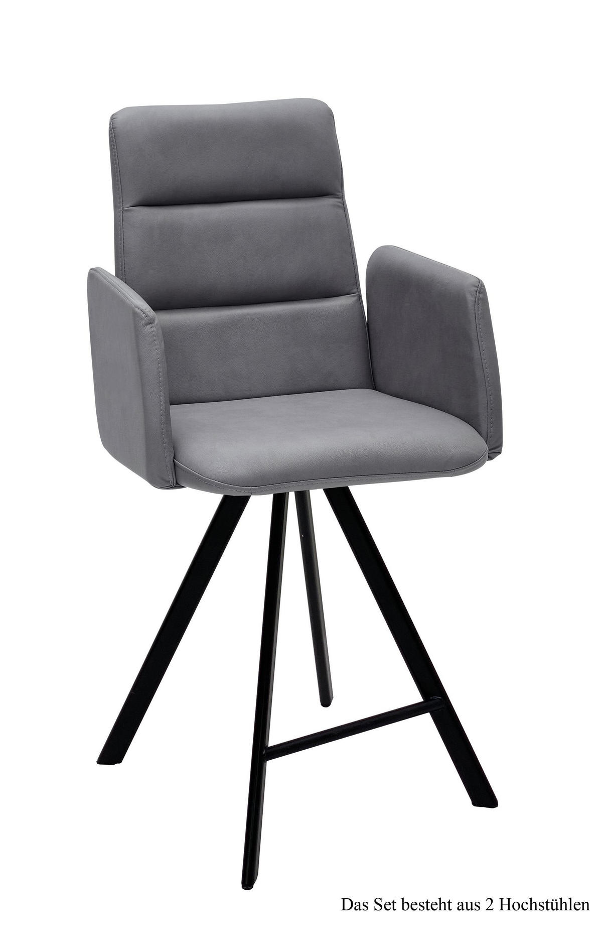 THEKENSTUHL (2er-Set) Delfine 52x109x60 Schwarz/Grau - Schwarz/Grau, Kunststoff (60/109/52cm) - 58aufmkessel