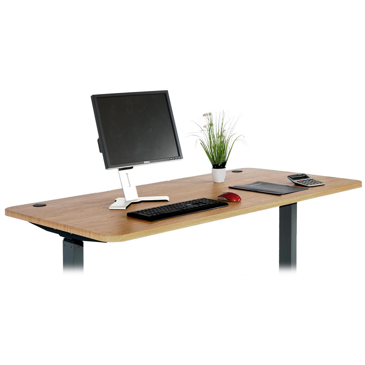 SCHREIBTISCHPLATTE Rehbraun - Hellbraun, Holz (80/160/2cm) - MCW