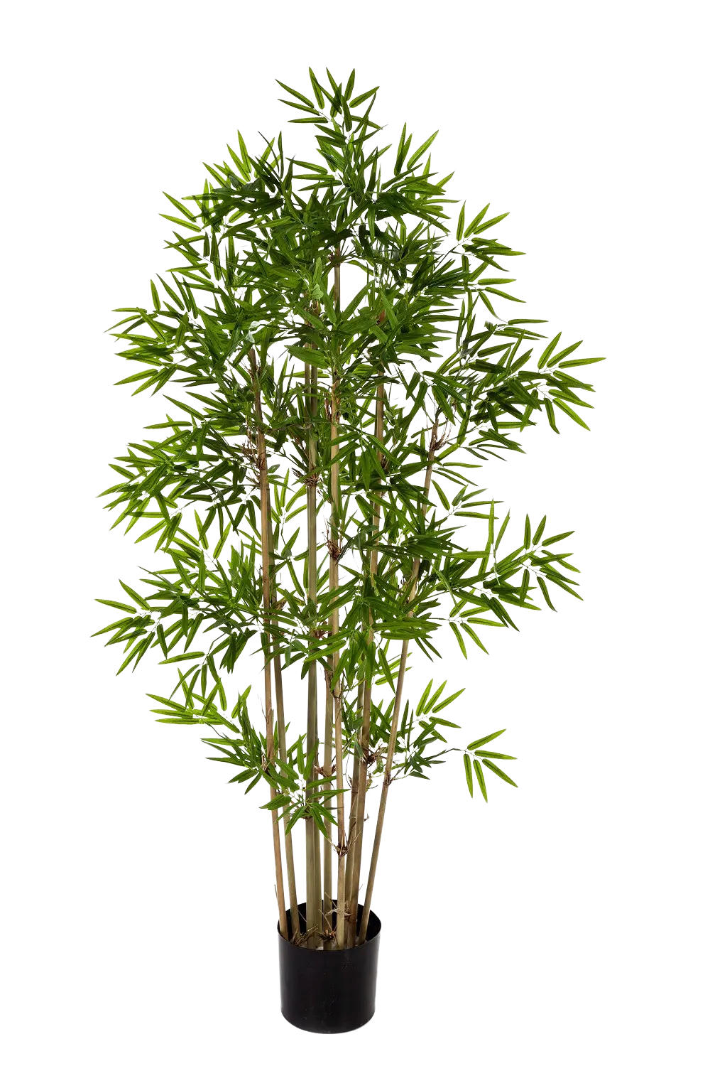 KUNSTBAUM Künstlicher Bambus - Lotta 200 cm - Grün, Kunststoff (200cm) - aplanta