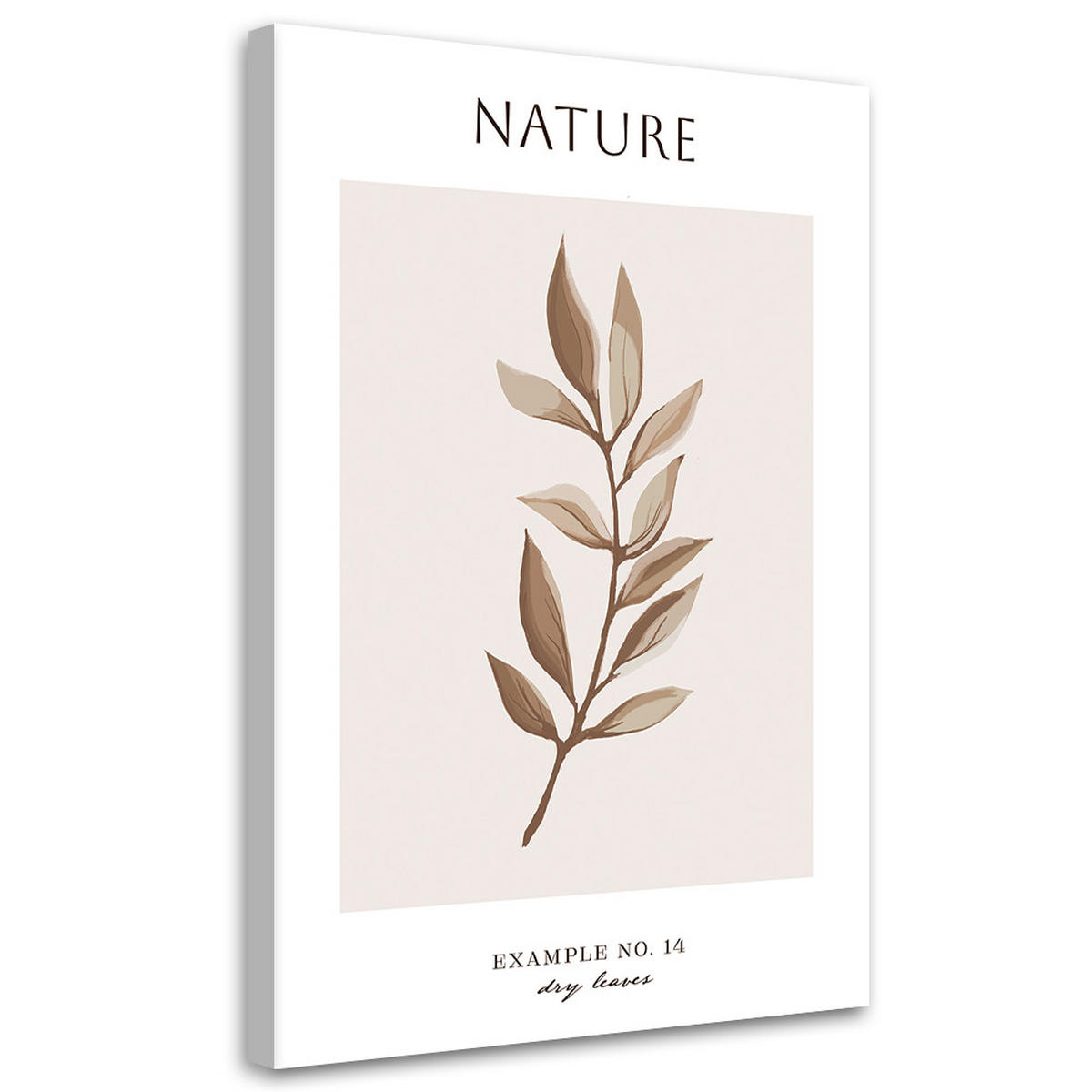 WANDBILD trockene blätter natur - Beige, Textil (40/60cm) - Feeby