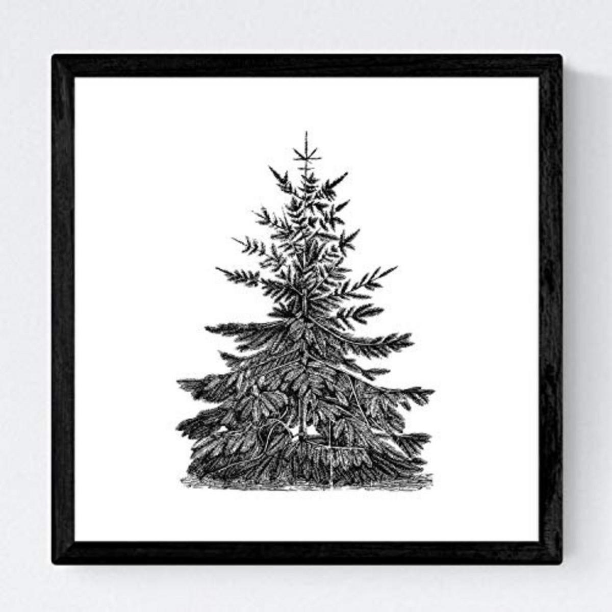 POSTER Set mit 4 Blättern der Bäume in der Welt weiß 30x30 cm Rahmenlos - Klar, Papier (30/3cm) - Nacnic