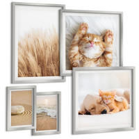 BILDER SET 5er Set - 50x50 cm & 20x30 cm & 40x60 cm Silberner Rahmen - Niedliche Tiere, Katzen, Hunde, Strand - Silberfarben, Kunststoff (40/60cm) - TULUP