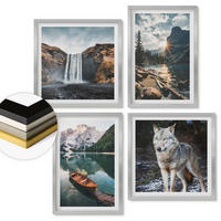 WANDBILDER 4er Set - 50x50 cm & 40x60 cm Silberner Rahmen - Berge, Seen, Wasserfall, Wolf - Silberfarben, Kunststoff (50/50cm) - ArtPrintCave