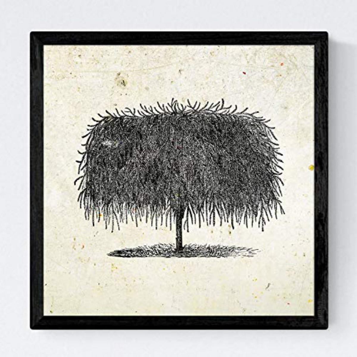 POSTER Set mit 4 Blättern der Bäume in Alten Papierhintergrund Jahrgang 20x20cm Rahmenlos - Klar, Papier (20/3cm) - Nacnic