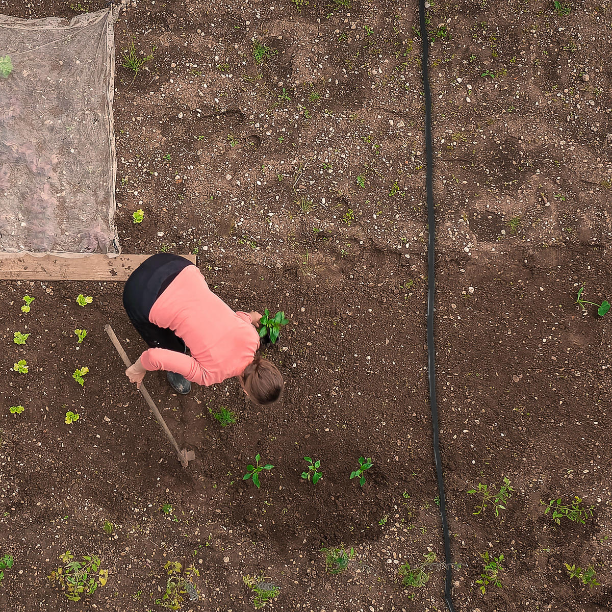 BEWÄSSERUNGSSCHLAUCH - Schwarz, Kunststoff (3.5cm) - Relaxdays