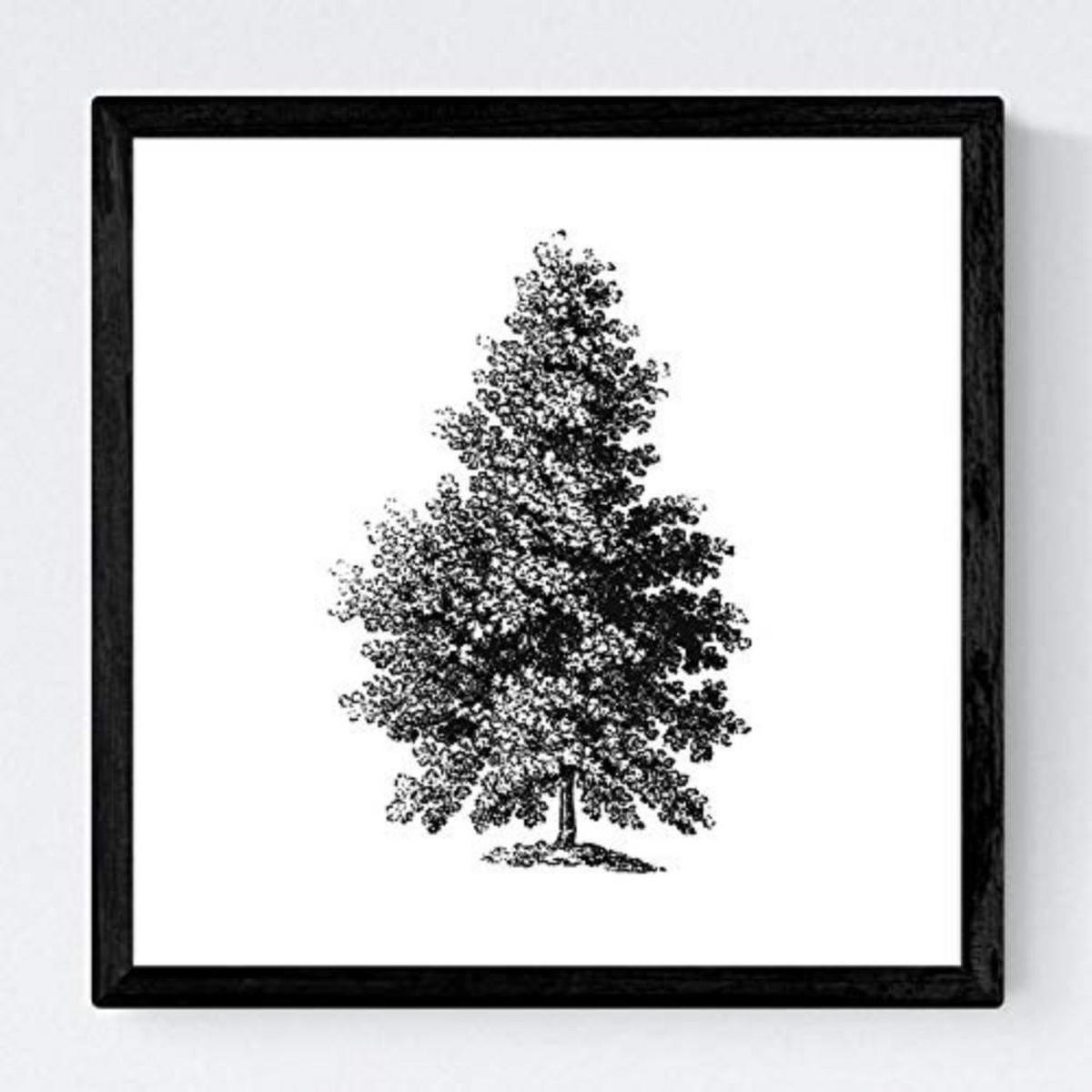 POSTER Set mit 4 Blättern der Hohe Bäume in weiß 30x30 cm Rahmenlos - Klar, Papier (30/3cm) - Nacnic