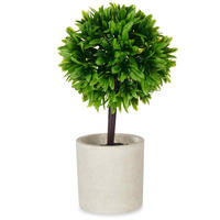 DEKORATIVE PFLANZE Keramiktopf 24 cm - Grün, Kunststoff (24cm) - Ibergarden