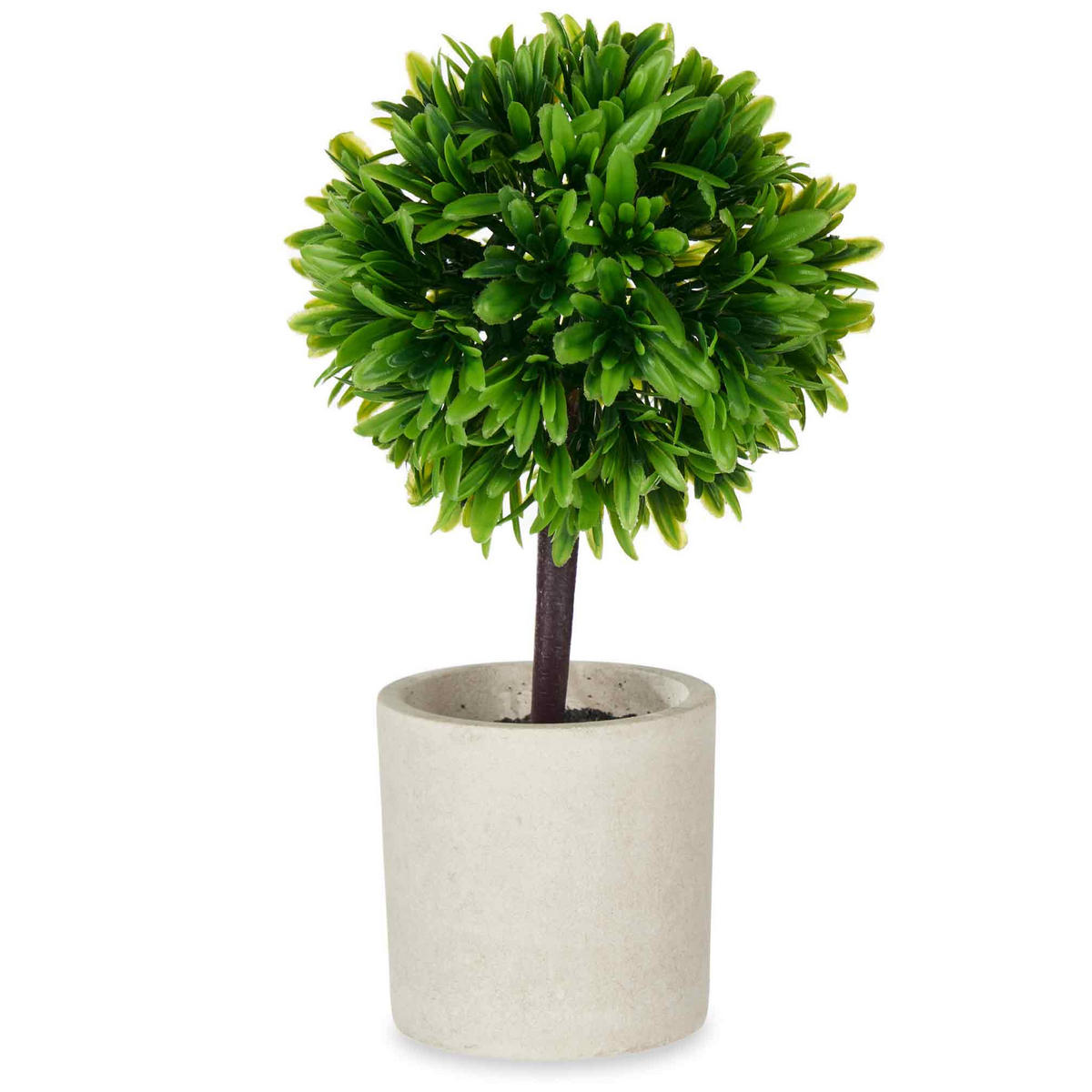 DEKORATIVE PFLANZE Keramiktopf 24 cm - Grün, Kunststoff (24cm) - Ibergarden