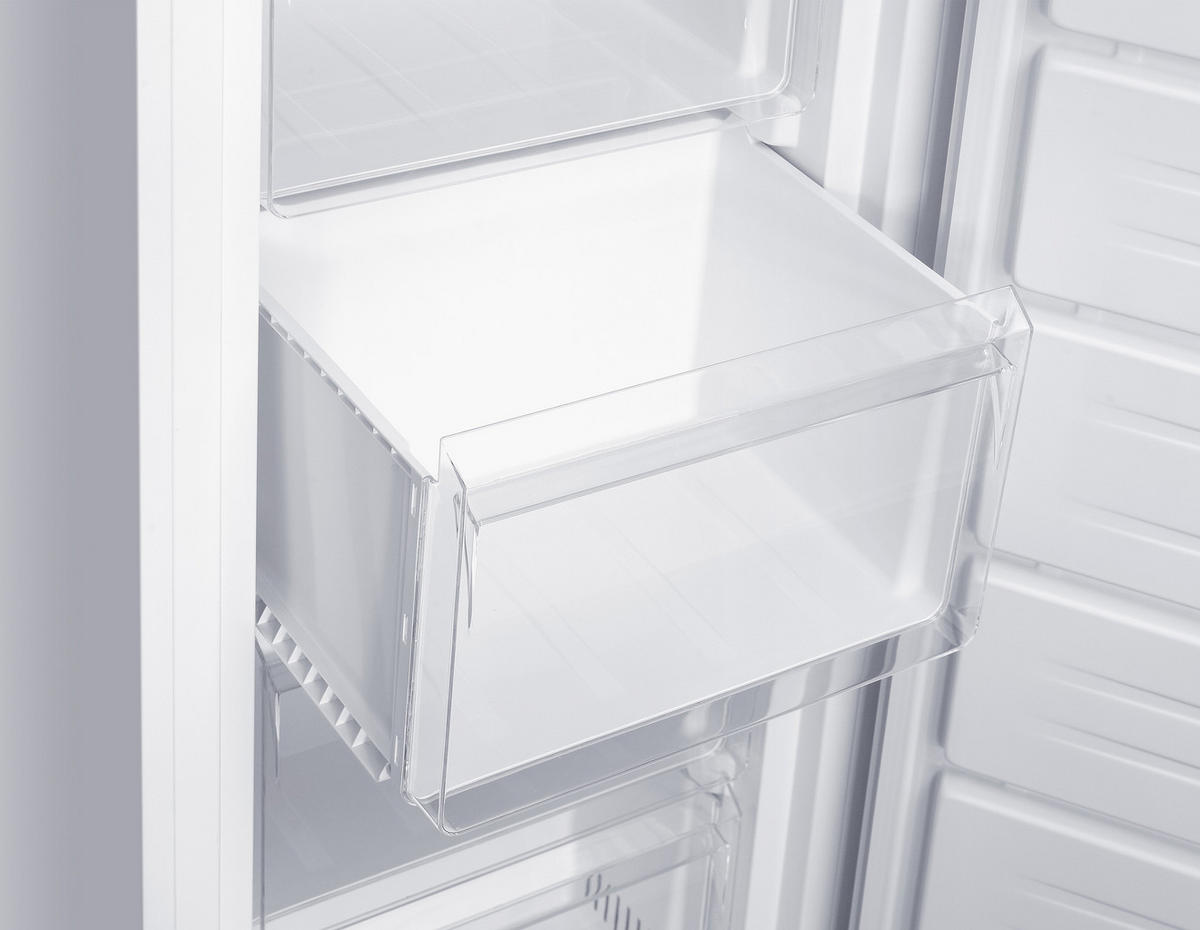 GEFRIERSCHRANK No Frost, groß - 204L Nutzinhalt, 4-Sterne Gefrieren, Super-Frost-Funktion, weiß - Weiß, Kunststoff/Metall (54/170.5/60cm) - homeX