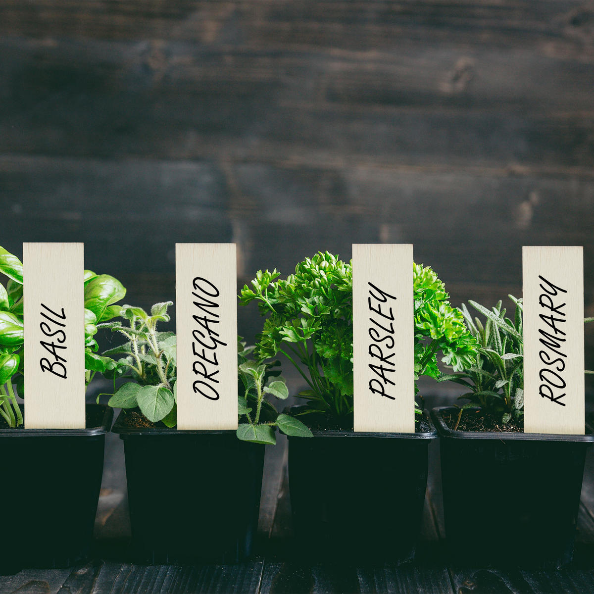 60XPFLANZENSTECKER - Hellbraun, Holz (2/10.5/0.2cm) - Relaxdays